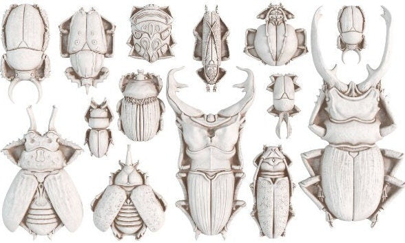 IOD Specimen 6x10 Decor Mould, Moulds Use With Clay or Resin Crafts Signs Sugar Arts Furniture Fall Decor, Specimen Mold
