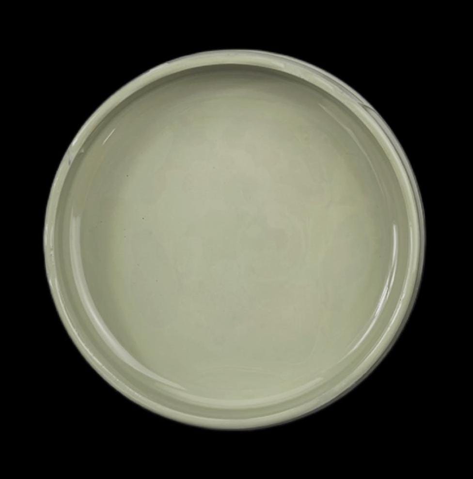 Autumn Sage Paint Couture Chalk Paint