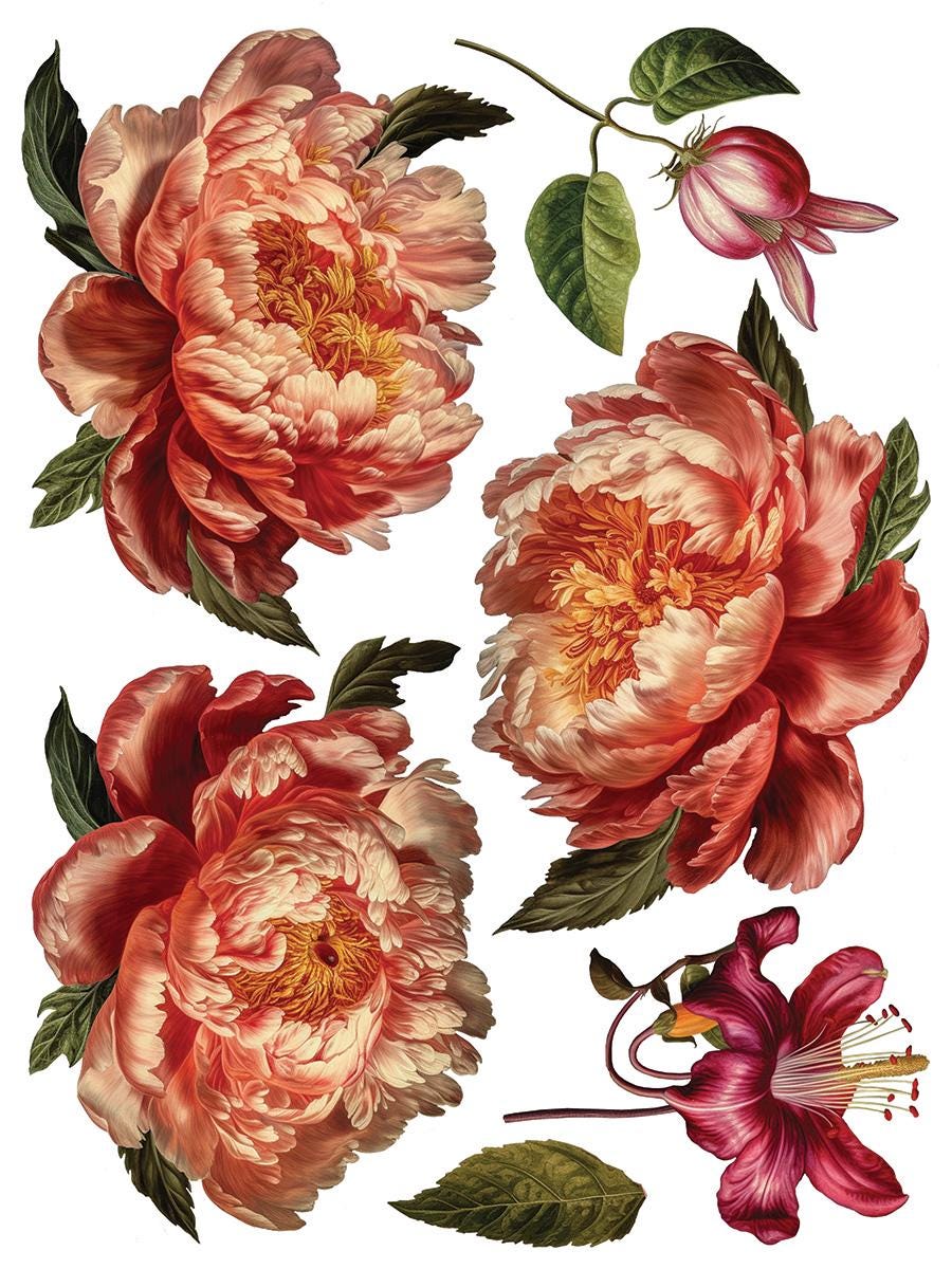 Collage de Fleur IOD Transfer Pad with (8) 12 X 16 Sheets