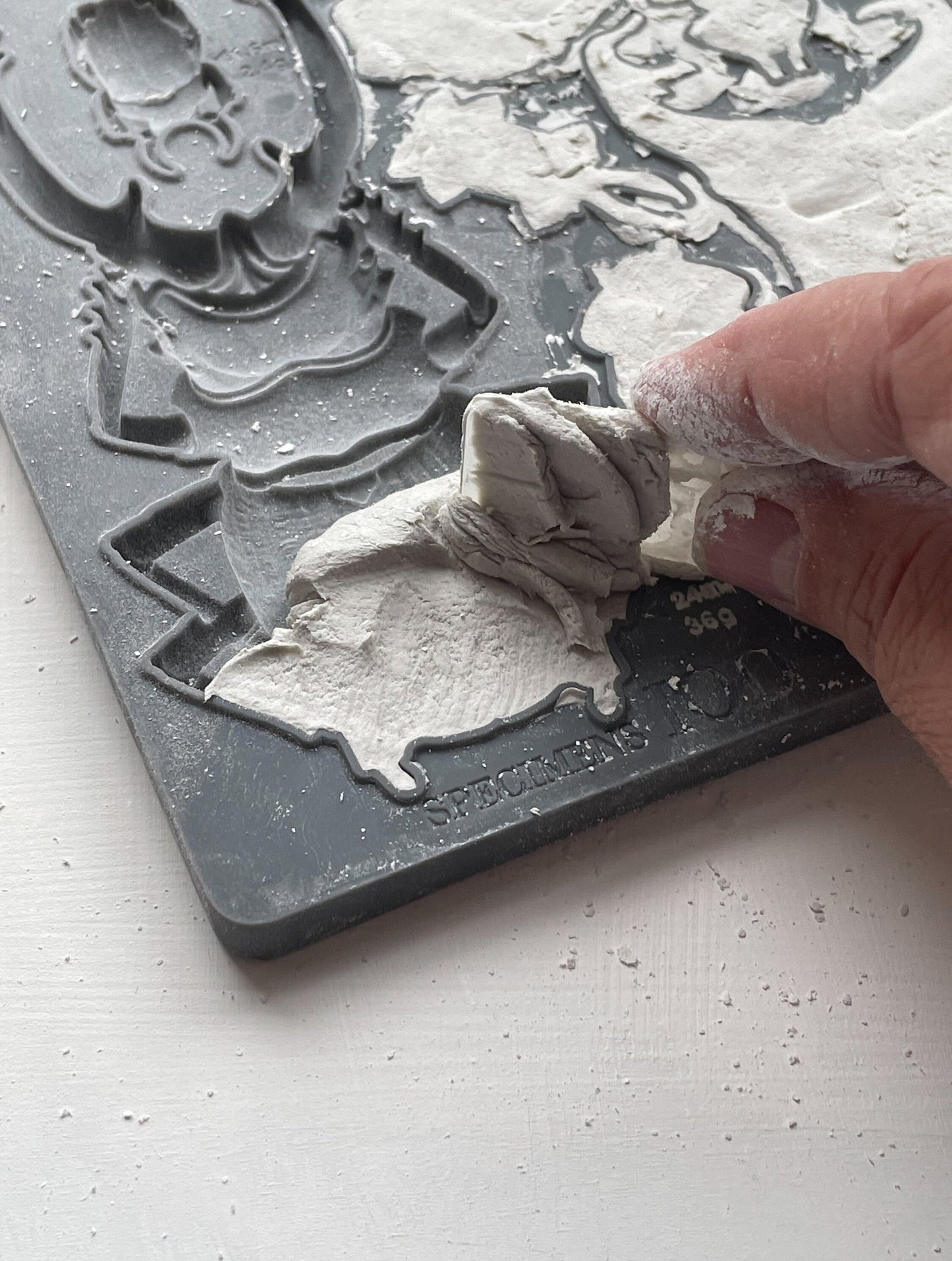 IOD Specimen 6x10 Decor Mould, Moulds Use With Clay or Resin Crafts Signs Sugar Arts Furniture Fall Decor, Specimen Mold