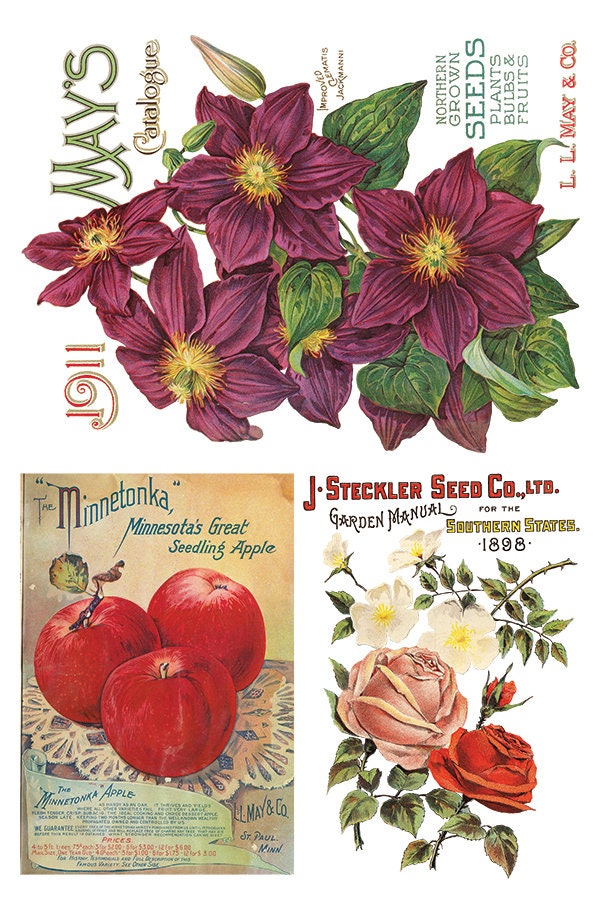 Seed Catalogue IOD Transfer Pad with (8) 8 x 12 Sheets