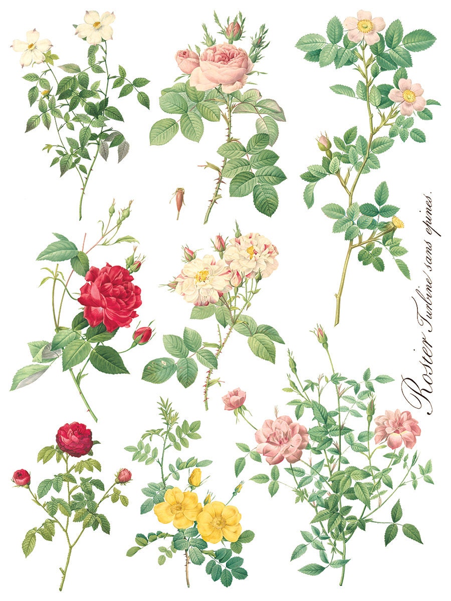 Rose Botanical IOD Transfer Pad with (8) 12 X 16 Sheets