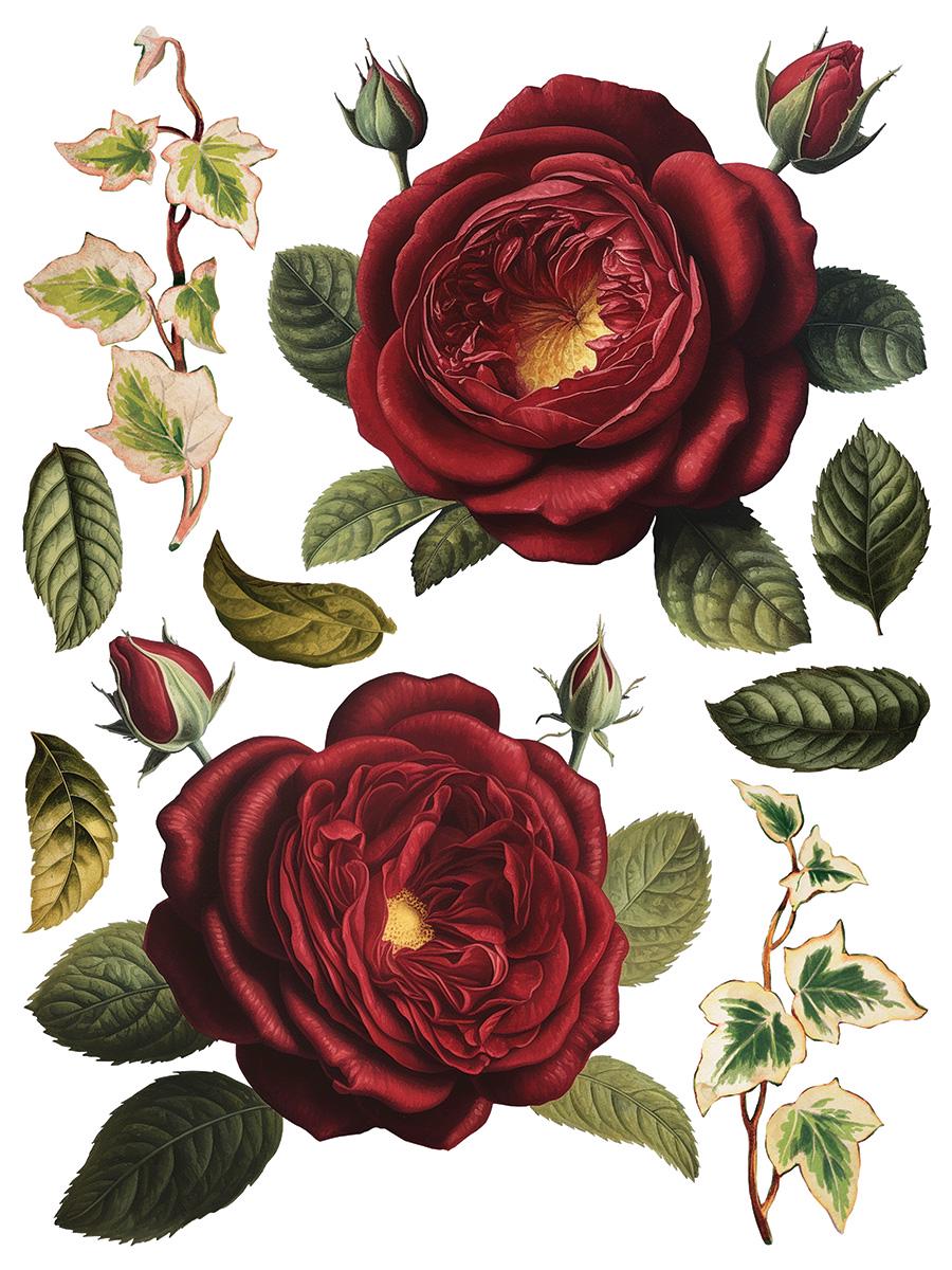 Collage de Fleur IOD Transfer Pad with (8) 12 X 16 Sheets