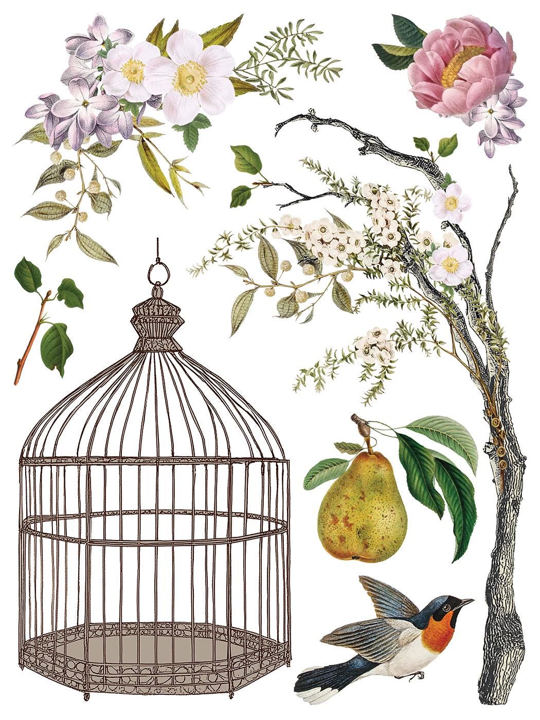 NEW Menagerie, IOD Transfer Pad, (8) 12 X 16 Sheets