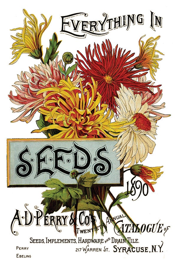 Seed Catalogue IOD Transfer Pad with (8) 8 x 12 Sheets
