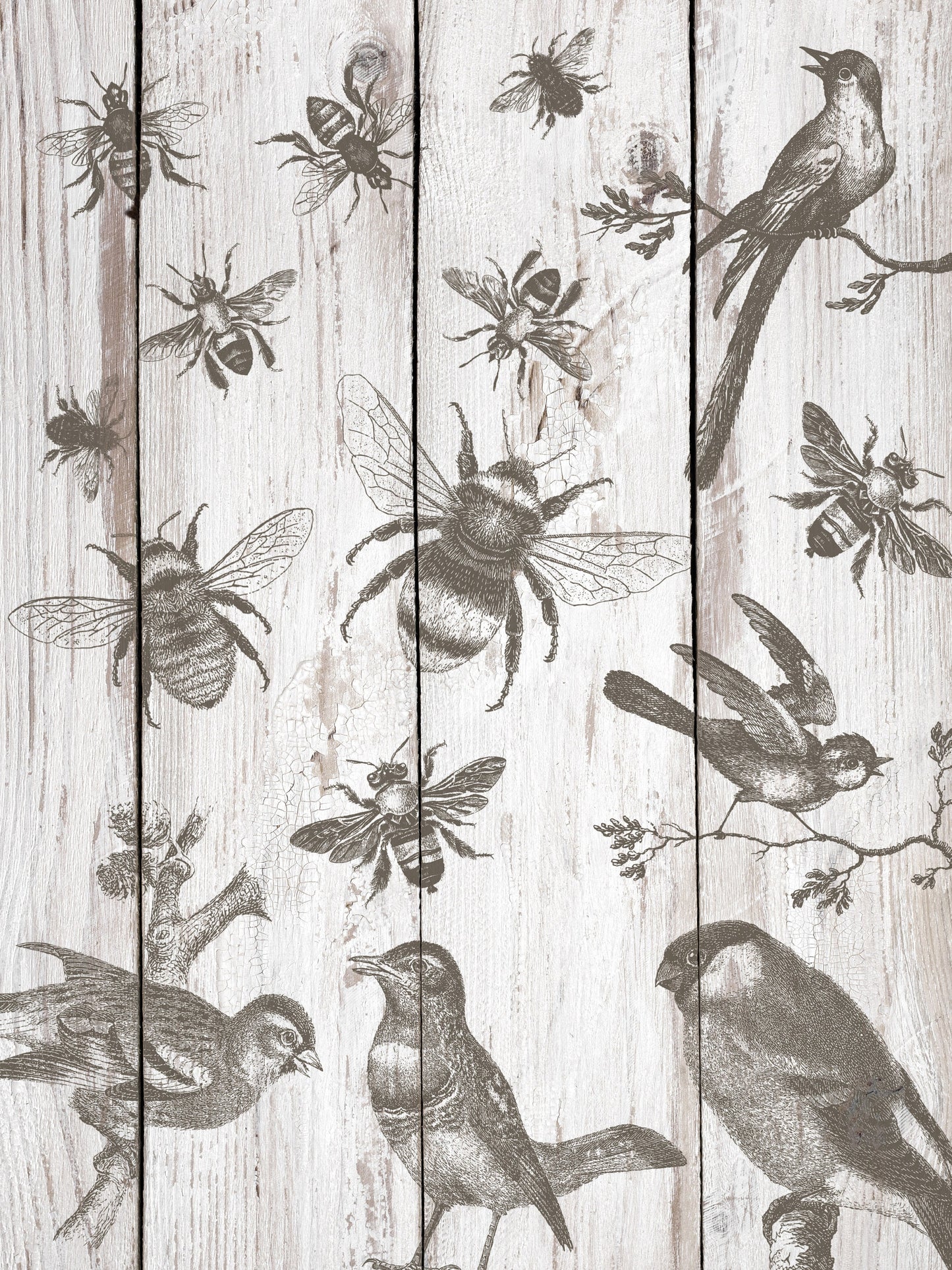 IOD Birds and Bees Stamp