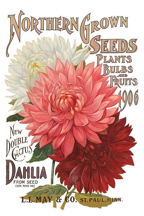 Seed Catalogue IOD Transfer Pad with (8) 8 x 12 Sheets