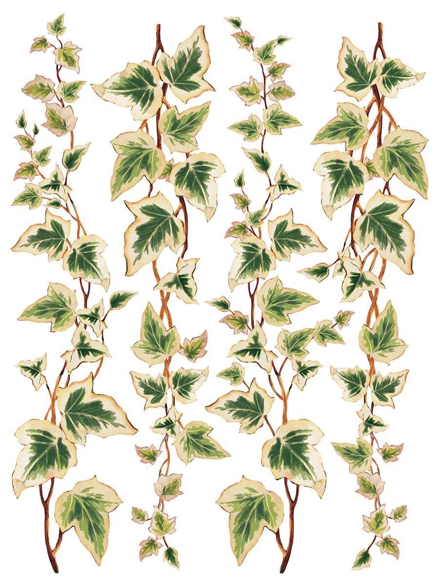 Collage de Fleur IOD Transfer Pad with (8) 12 X 16 Sheets
