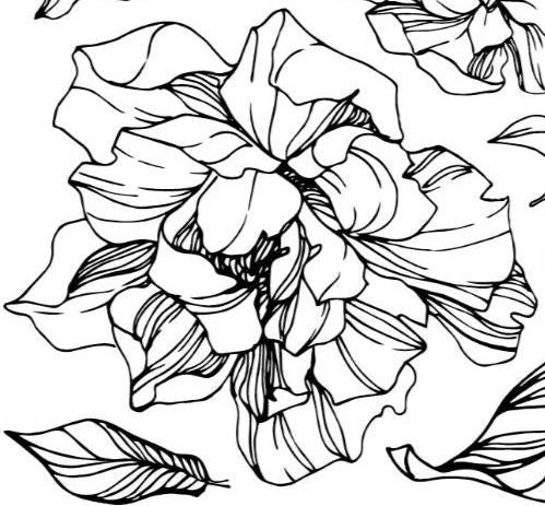 IOD Peonies 2 Sheet 12 inch by 12 inch Stamps