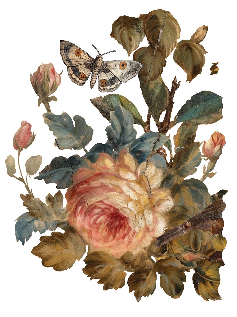 Joie de Roses IOD Transfer Pad with (8) 12 X 16 Sheets