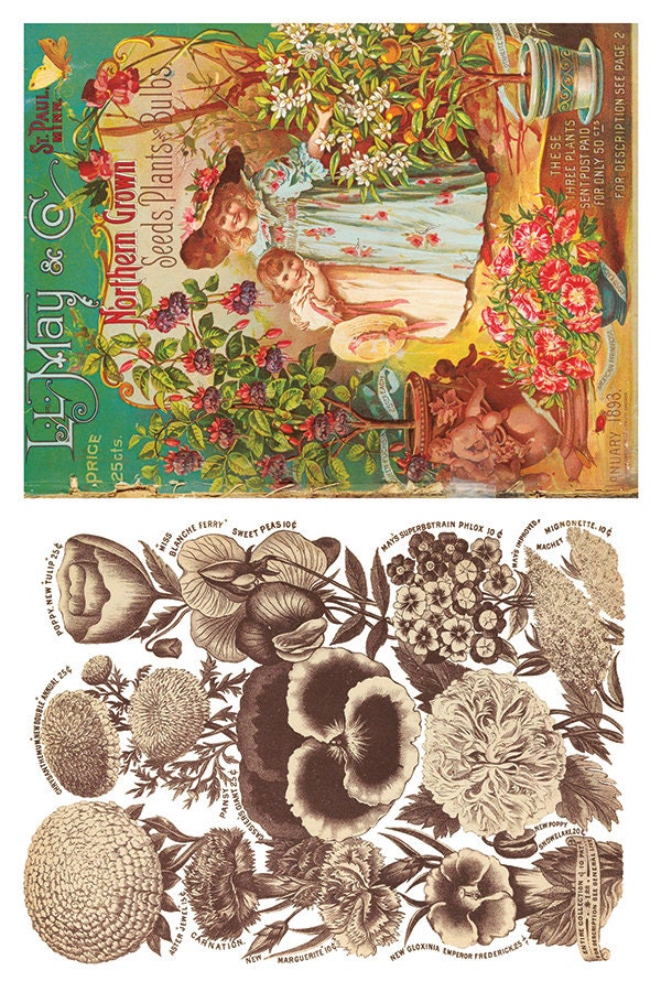 Seed Catalogue IOD Transfer Pad with (8) 8 x 12 Sheets