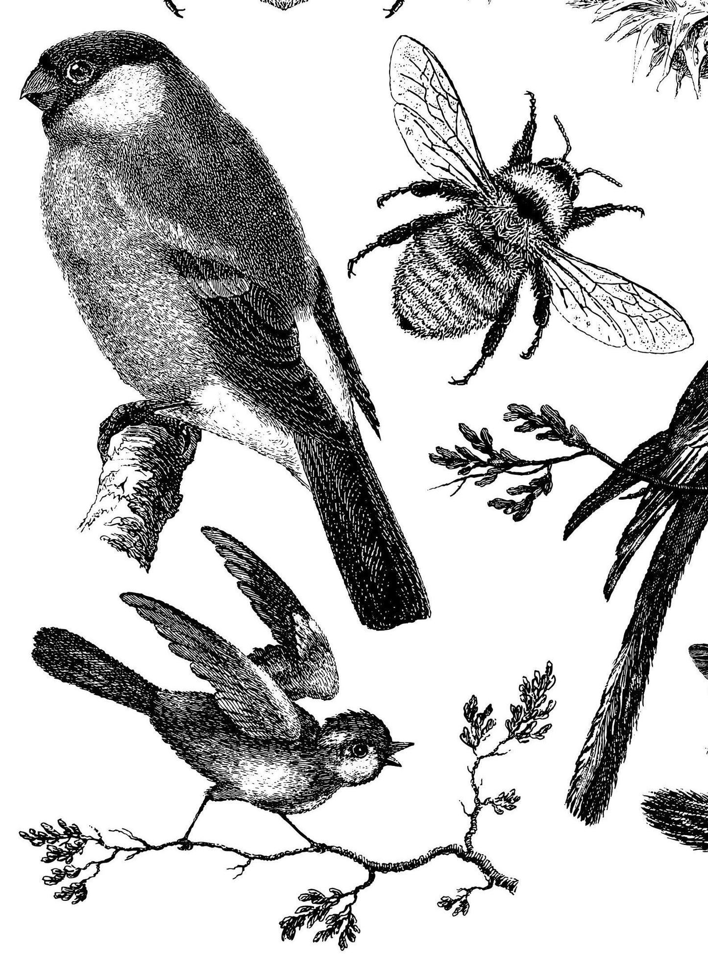 IOD Birds and Bees Stamp
