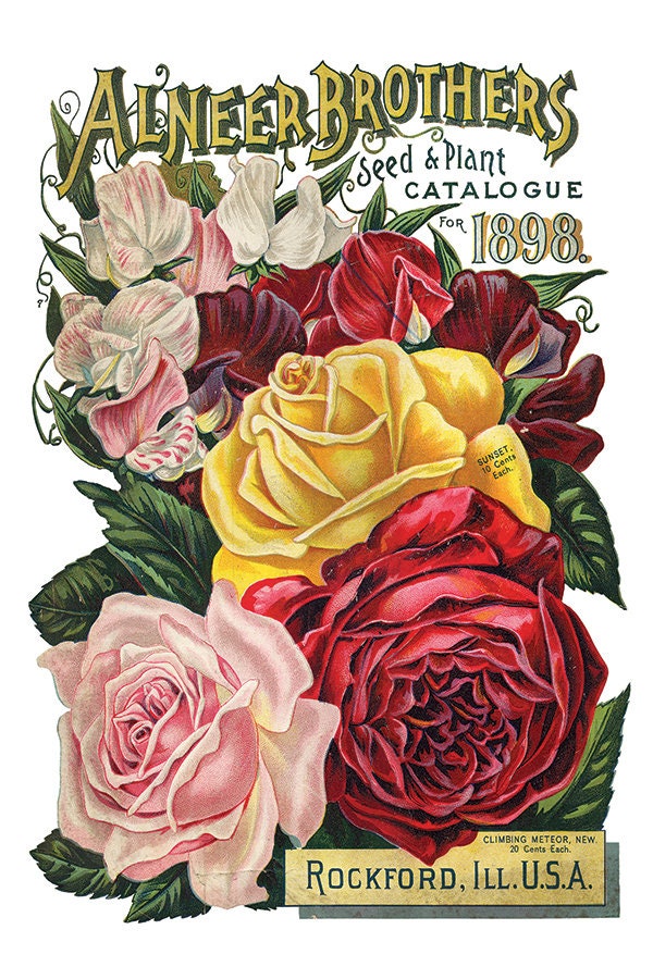 Seed Catalogue IOD Transfer Pad with (8) 8 x 12 Sheets