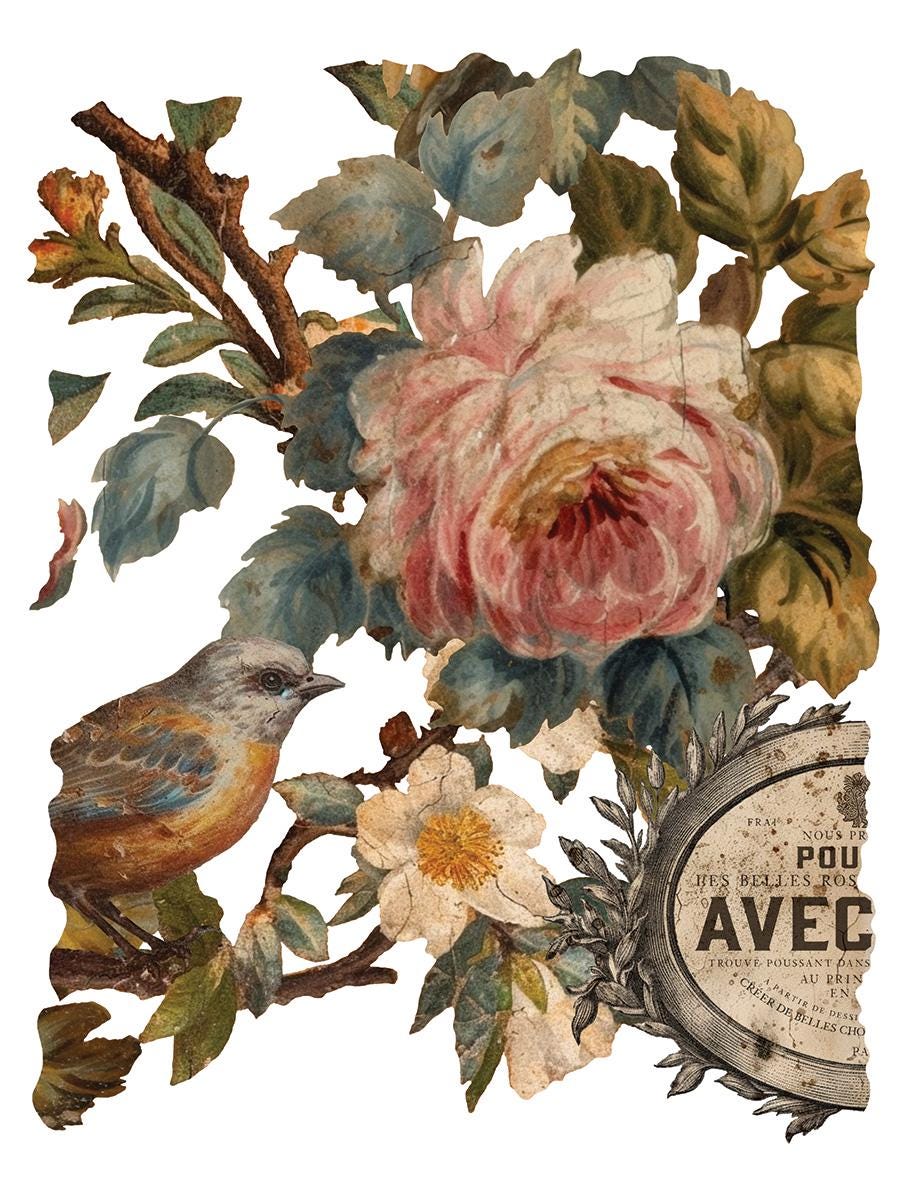 Joie de Roses IOD Transfer Pad with (8) 12 X 16 Sheets
