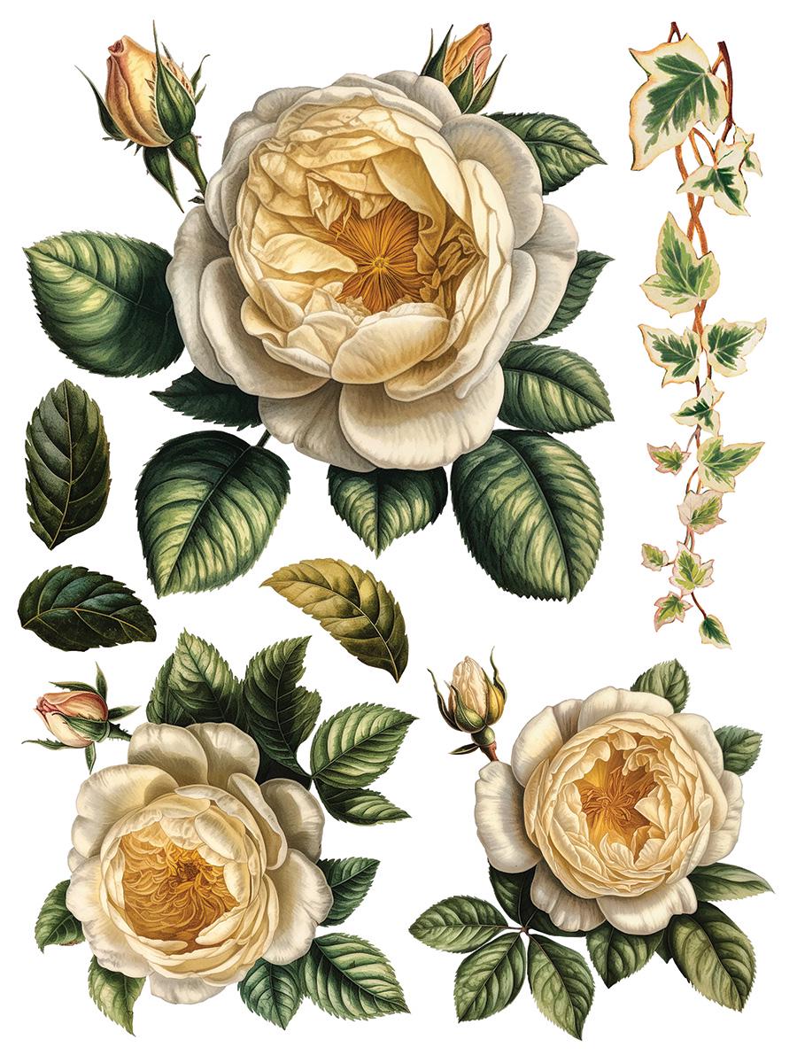 Collage de Fleur IOD Transfer Pad with (8) 12 X 16 Sheets