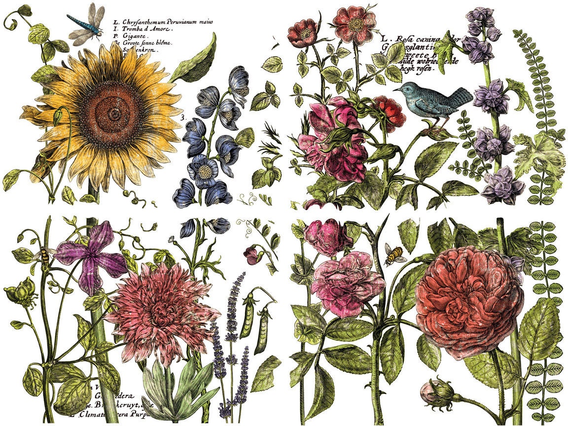 Botanist's Journal IOD Transfer Pad with (4) 12 X 16 Sheets