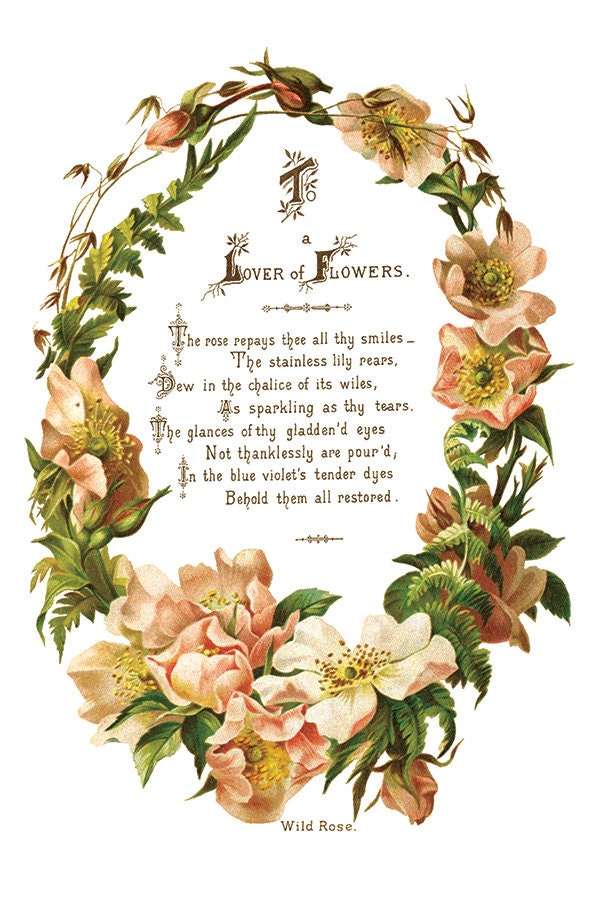Lover of Flowers, IOD Transfer 8 X 12 inches PAD