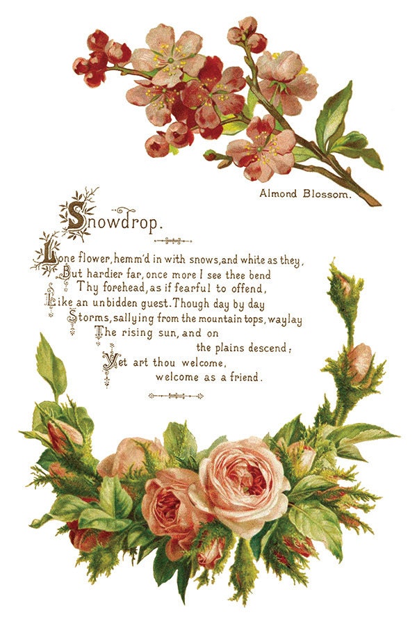 Lover of Flowers, IOD Transfer 8 X 12 inches PAD