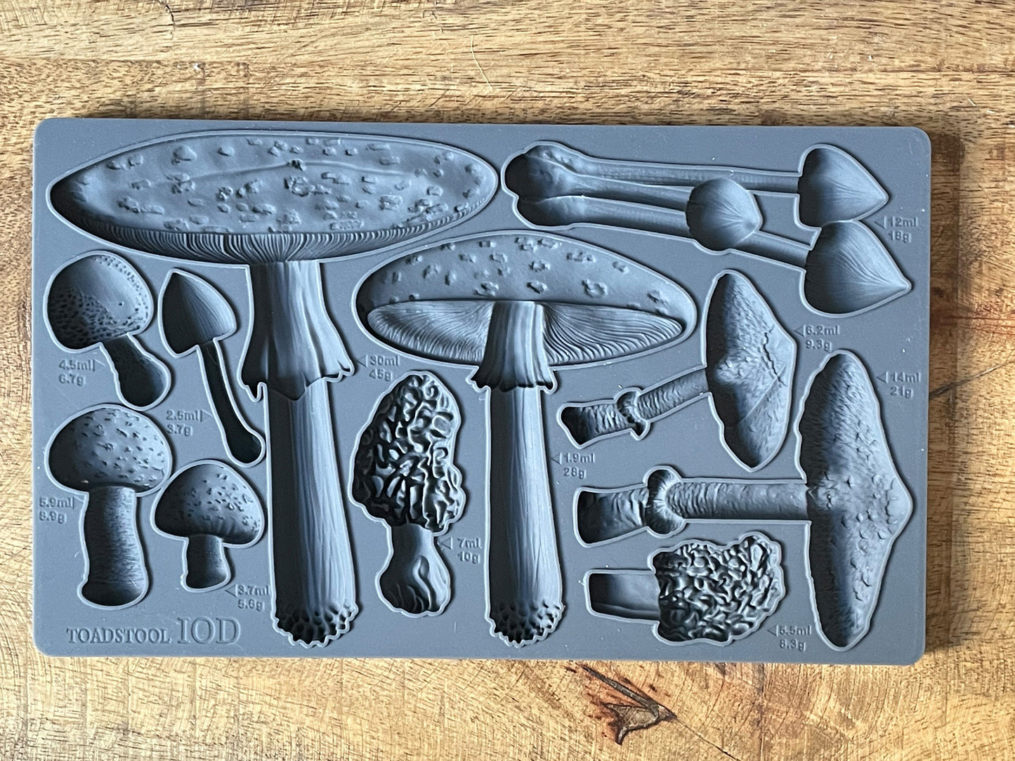 IOD Toadstool 6x10 Decor Mould