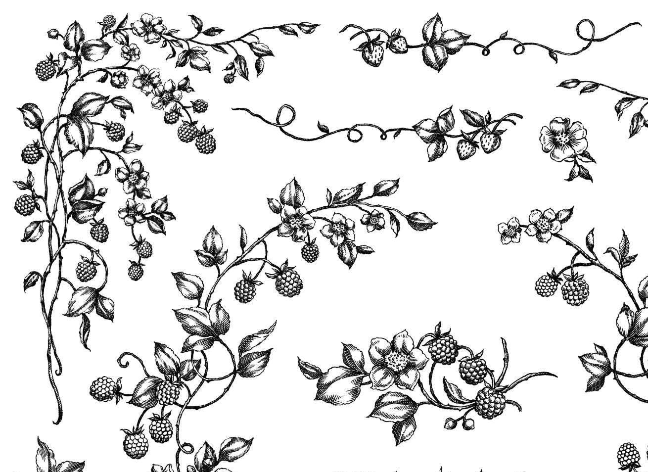 IOD Brambles and Berries Stamp