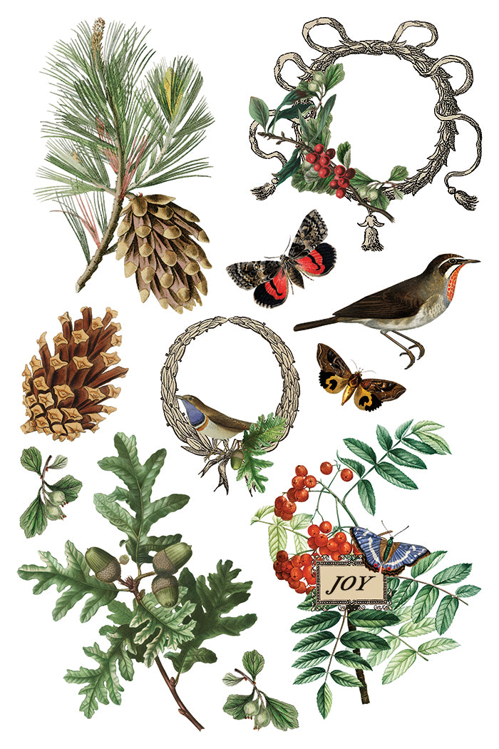2025 IOD Winter Botanist Transfer Pad with (8) 8 x 12 Sheets
