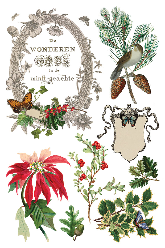 2025 IOD Winter Botanist Transfer Pad with (8) 8 x 12 Sheets