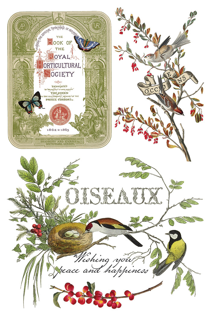 2025 IOD Winter Botanist Transfer Pad with (8) 8 x 12 Sheets