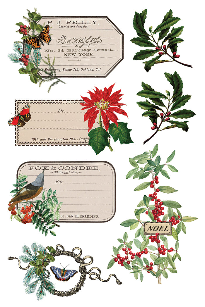 2025 IOD Winter Botanist Transfer Pad with (8) 8 x 12 Sheets