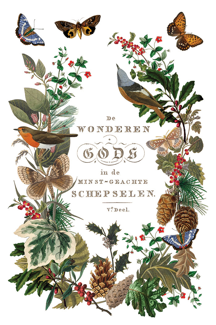 2025 IOD Winter Botanist Transfer Pad with (8) 8 x 12 Sheets