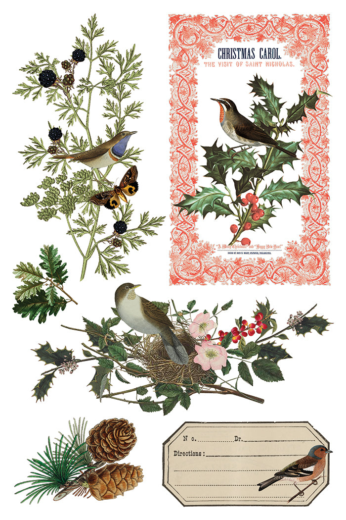 2025 IOD Winter Botanist Transfer Pad with (8) 8 x 12 Sheets