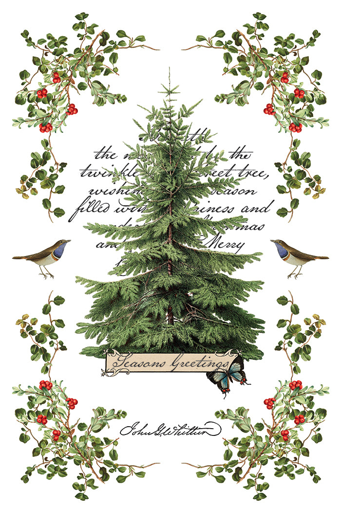 2025 IOD Winter Botanist Transfer Pad with (8) 8 x 12 Sheets