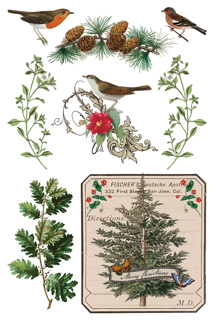 2025 IOD Winter Botanist Transfer Pad with (8) 8 x 12 Sheets