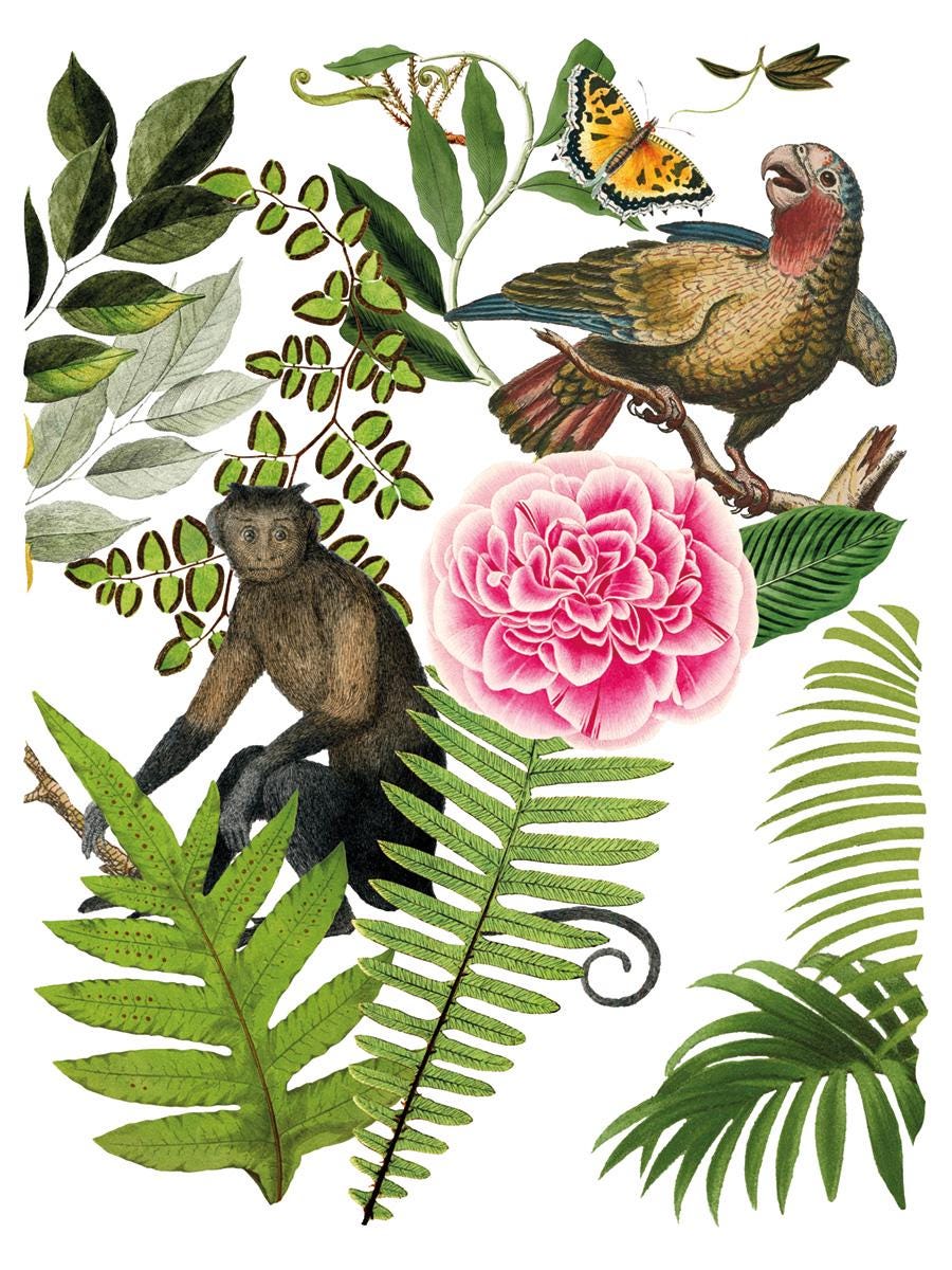 Bungalow IOD Transfer Pad with (8) 12 X 16 Sheets by Iron Orchid Designs Rub-On Furniture Transfer Decal Ships in 1-2 days!