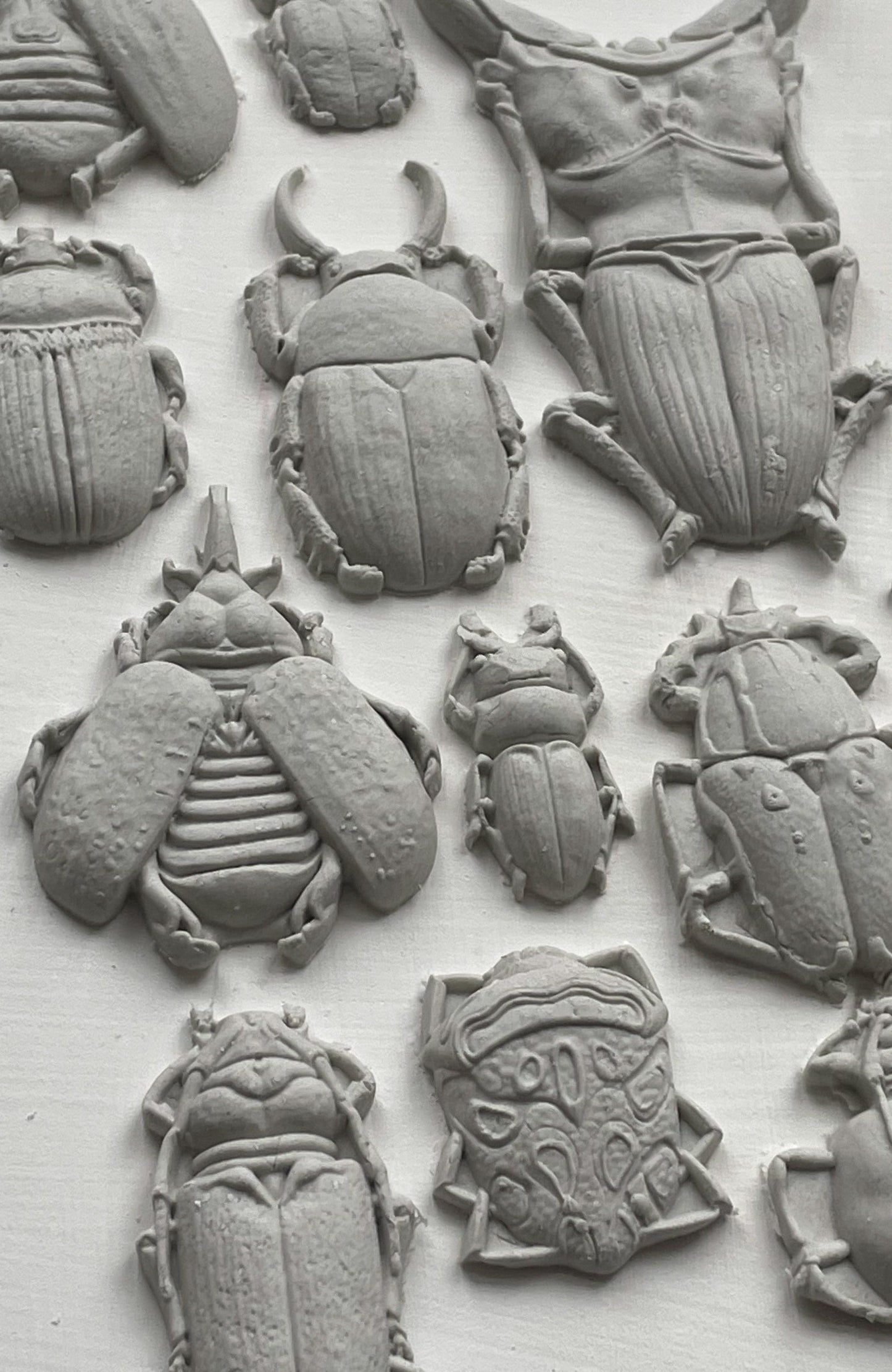 IOD Specimen 6x10 Decor Mould, Moulds Use With Clay or Resin Crafts Signs Sugar Arts Furniture Fall Decor, Specimen Mold