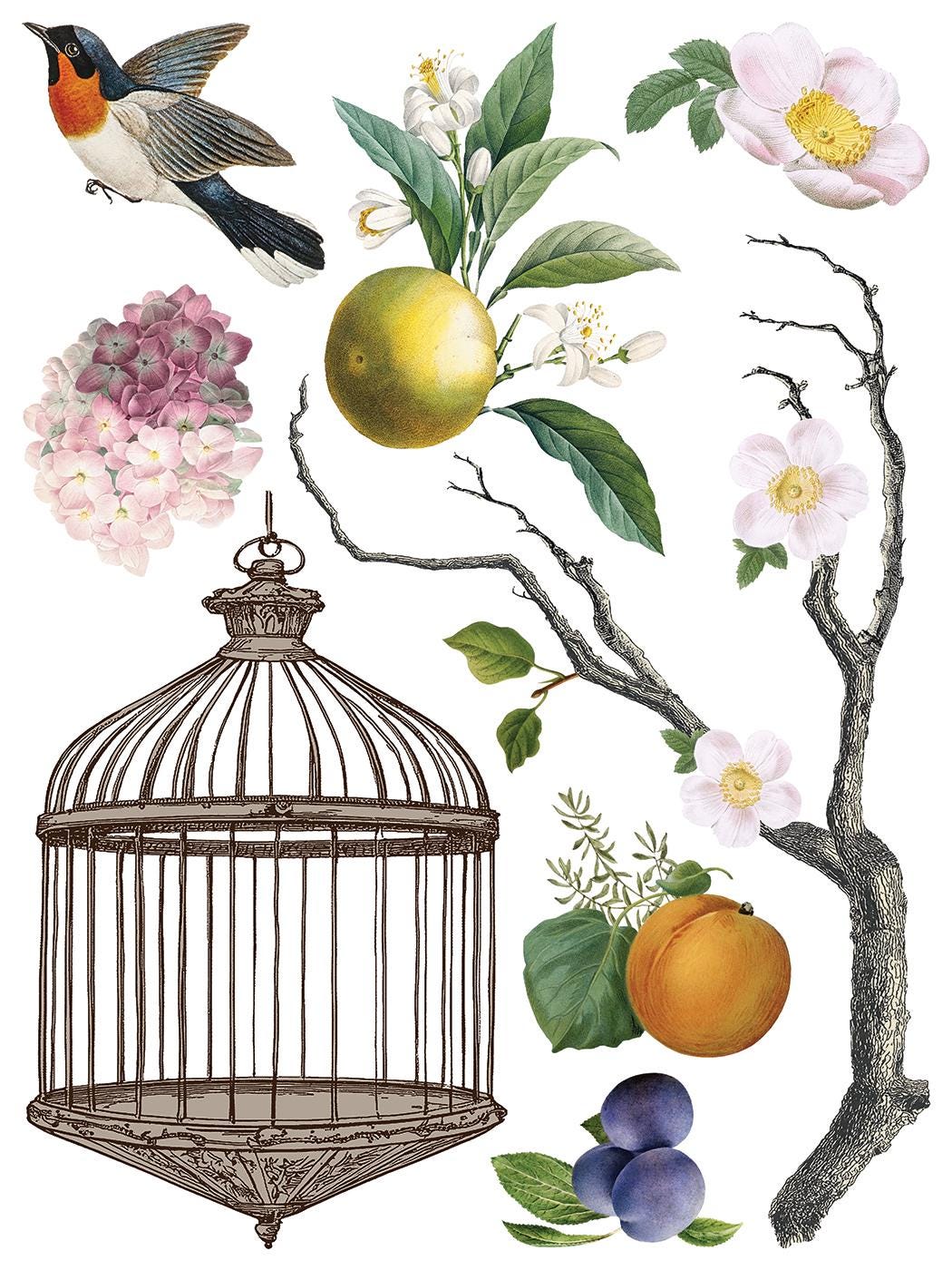 NEW Menagerie, IOD Transfer Pad, (8) 12 X 16 Sheets