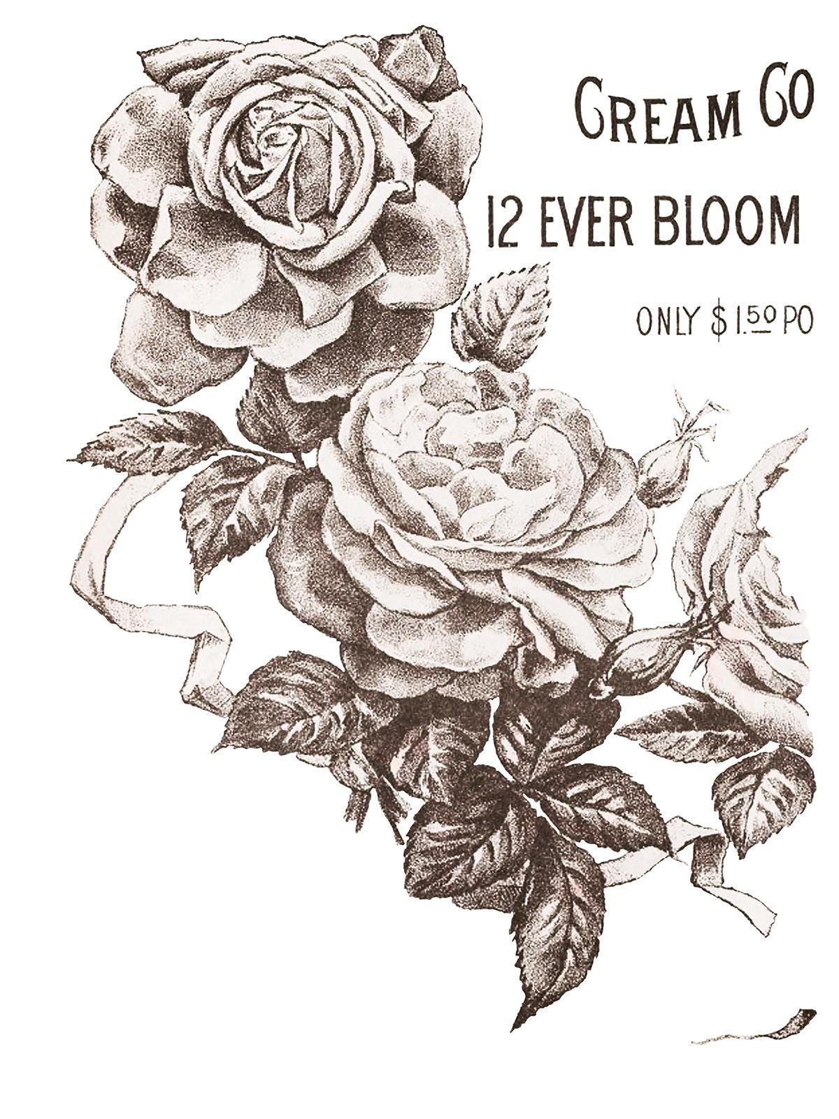 May's Roses IOD Transfer Pad with (4) 12 X 16 Sheets