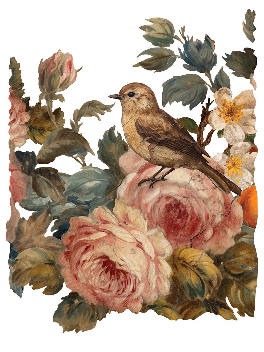 Joie de Roses IOD Transfer Pad with (8) 12 X 16 Sheets