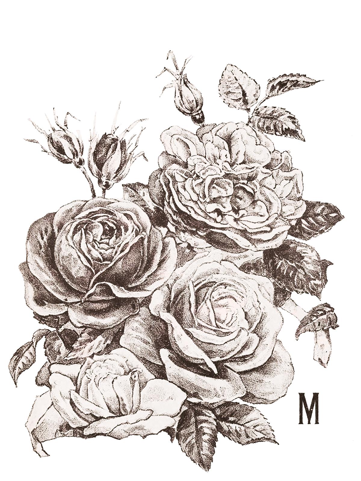 May's Roses IOD Transfer Pad with (4) 12 X 16 Sheets