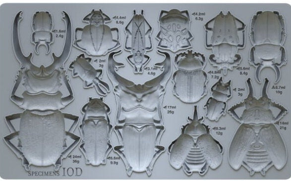 IOD Specimen 6x10 Decor Mould, Moulds Use With Clay or Resin Crafts Signs Sugar Arts Furniture Fall Decor, Specimen Mold