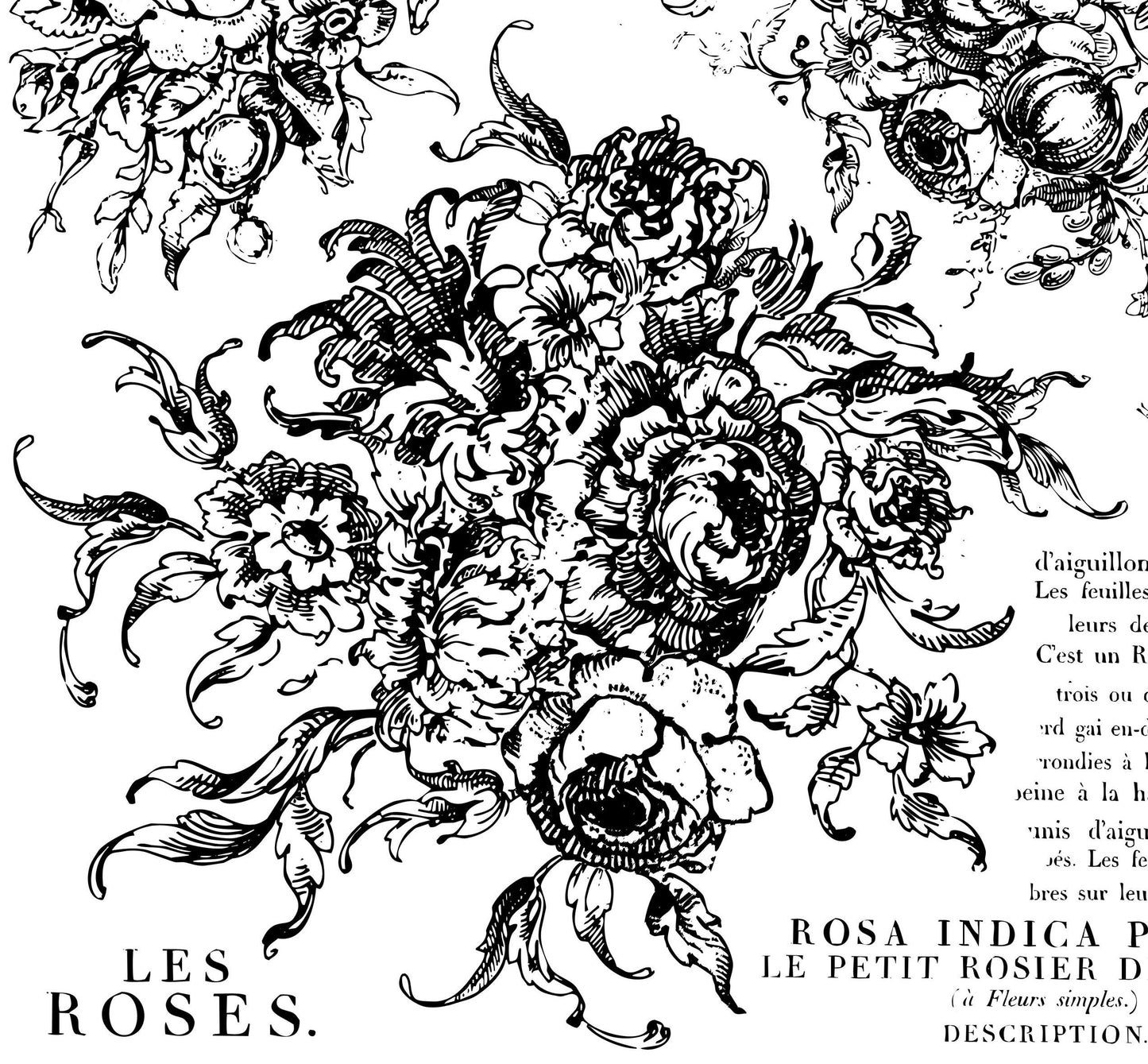 IOD Rose Toile Stamp, Iron Orchid Designs