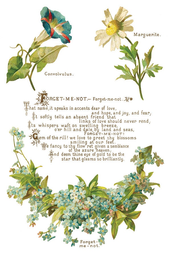 Lover of Flowers, IOD Transfer 8 X 12 inches PAD