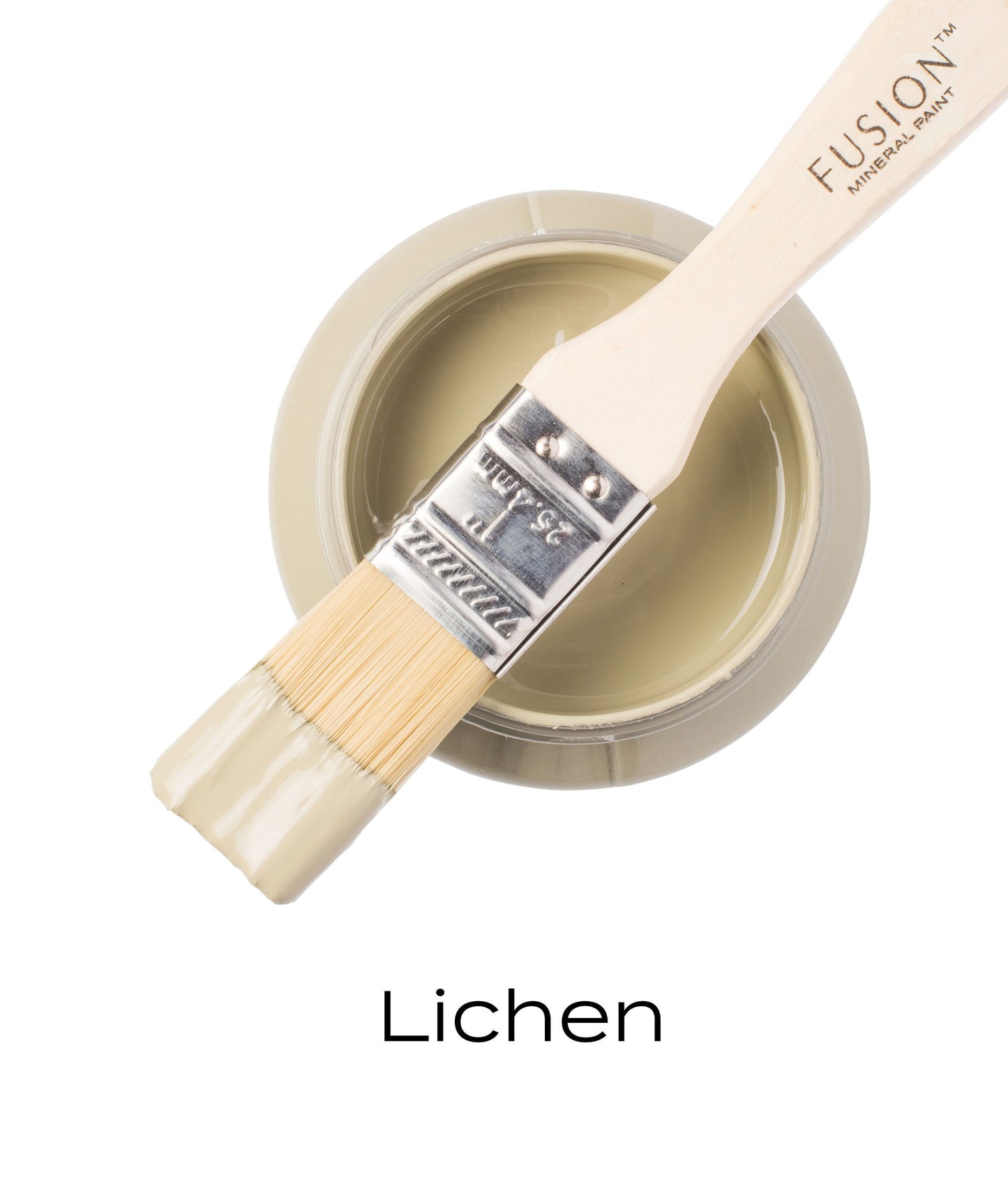 Lichen Fusion Mineral Paint Pint