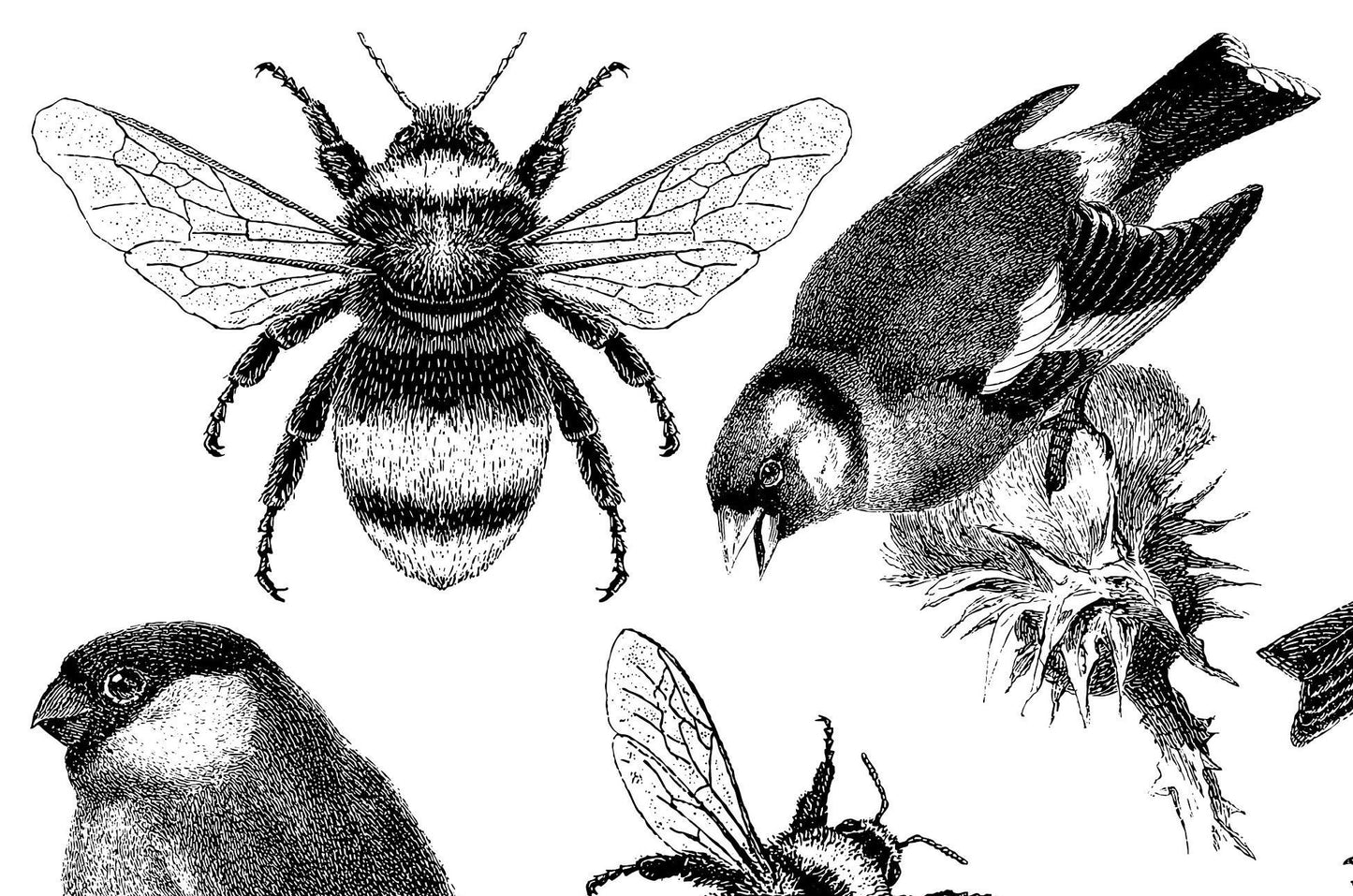 IOD Birds and Bees Stamp