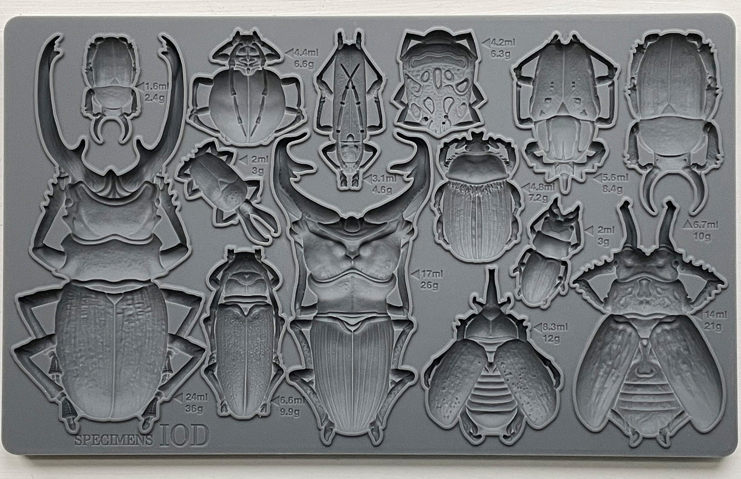 IOD Specimen 6x10 Decor Mould, Moulds Use With Clay or Resin Crafts Signs Sugar Arts Furniture Fall Decor, Specimen Mold