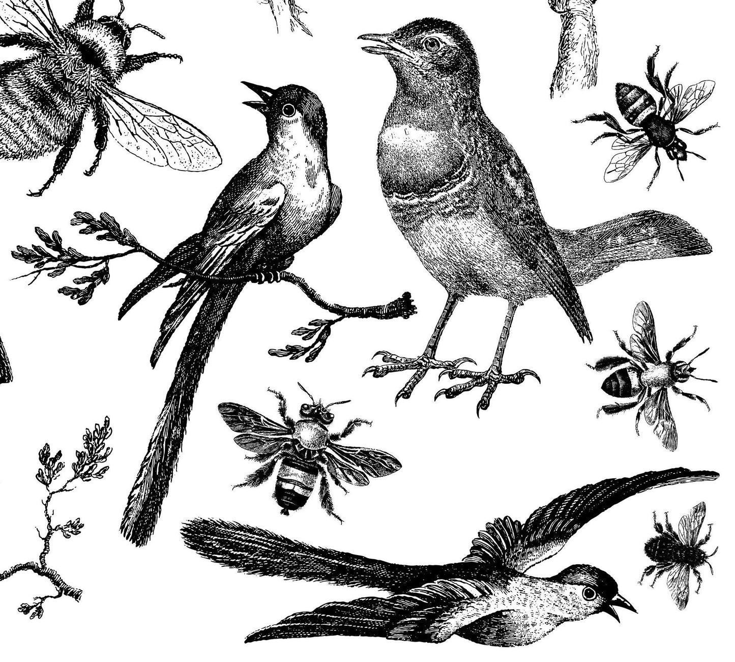 IOD Birds and Bees Stamp