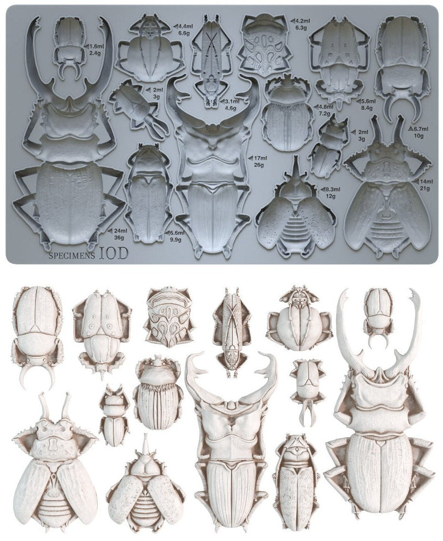IOD Specimen 6x10 Decor Mould, Moulds Use With Clay or Resin Crafts Signs Sugar Arts Furniture Fall Decor, Specimen Mold