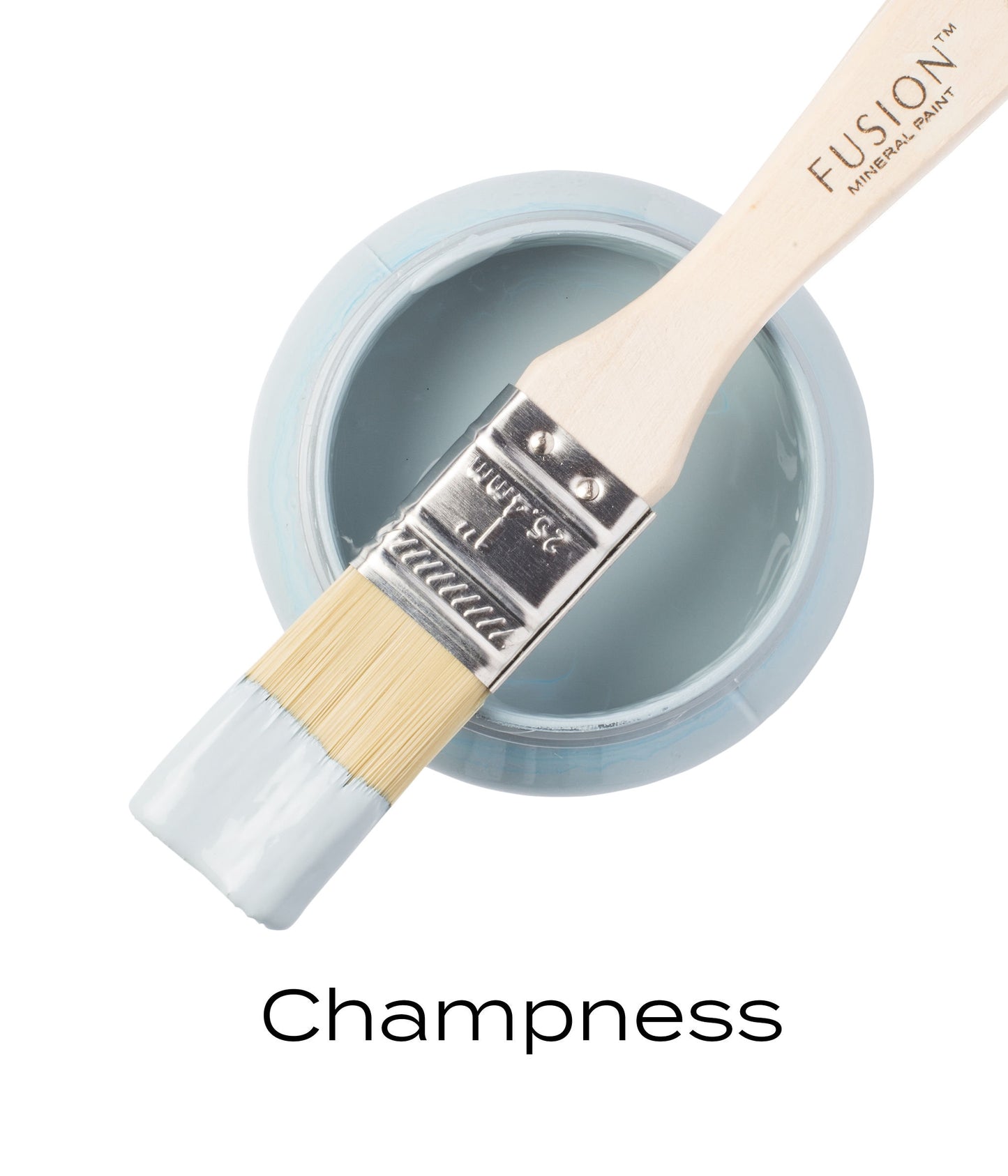 Champness Fusion Mineral Paint Pint