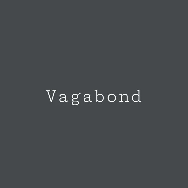 Vagabond Blue- Melange ONE Mineral Paint