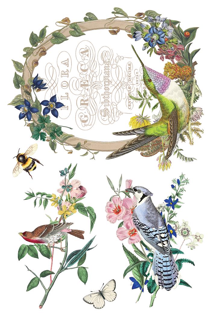 2026 IOD NEW Flora Greca Transfer Pad with (8) 8 x 12 Sheets, Iron Orchid Designs Rub-On Furniture Transfer Decal Botanicals