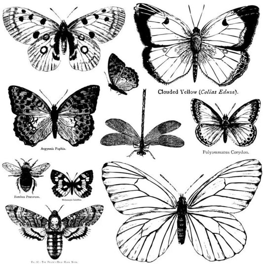 IOD Butterflies Stamp
